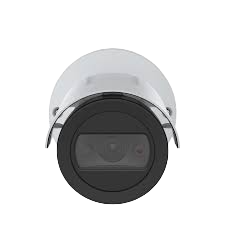pdf-icon